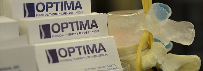 Physical Therapy Colorado Springs CO Business Cards And Spine Model Business Cards For Optima Physical Therapy & Rehabilitation And Spine Model